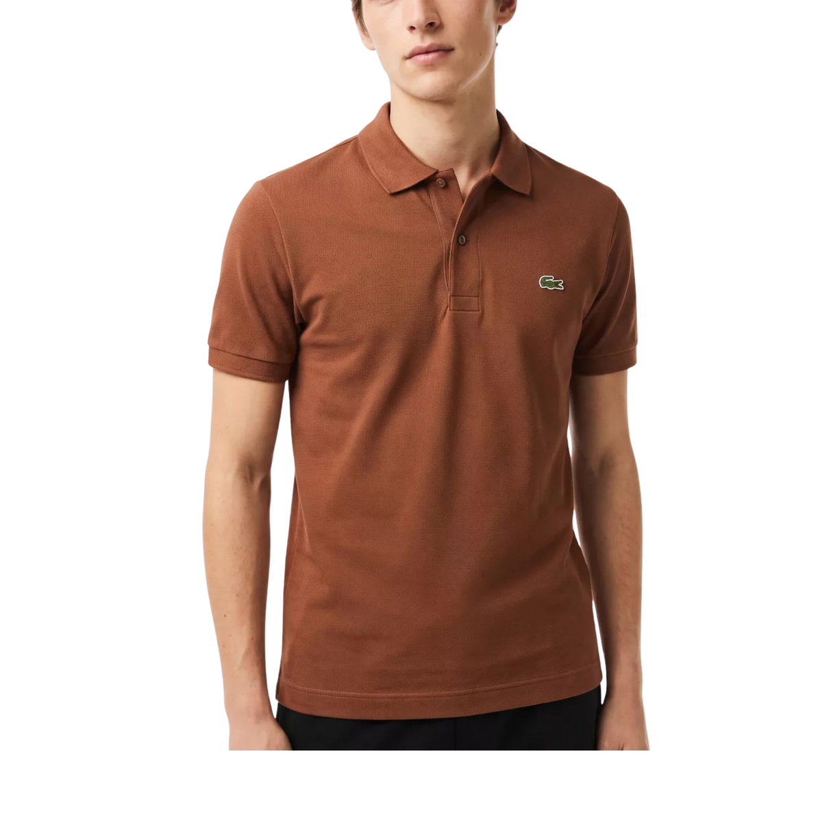polo lacoste l12.12 original homme marron classic fit